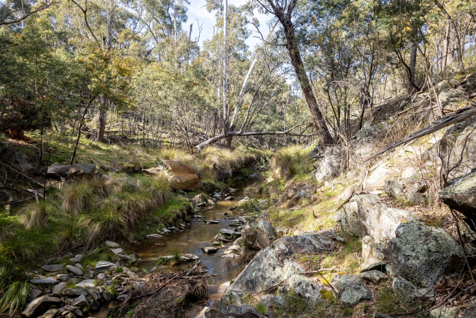 Additional image 8 of 528 Gundowda Road, Mudgee NSW 2850