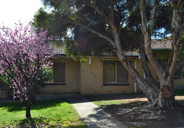 2/12 Forbes Street, Pasadena SA 5042