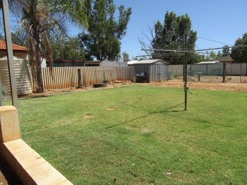 9 Carter Street, Three Springs WA 6519, Image 1