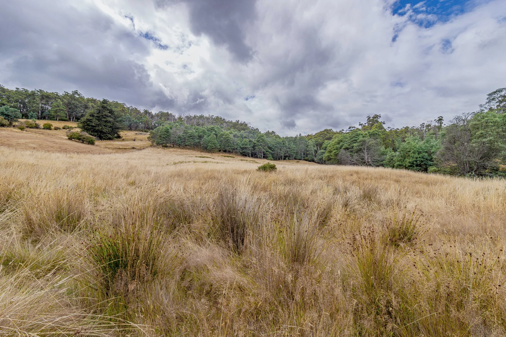 Additional image 13 of Geeveston TAS 7116