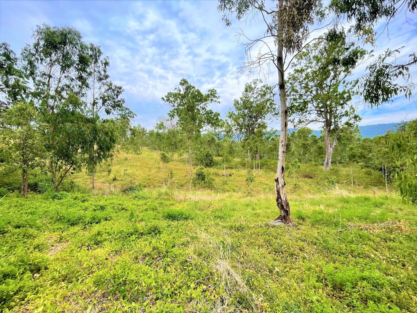 Lot 88 Calamia Road, Kyogle NSW 2474, Image 2