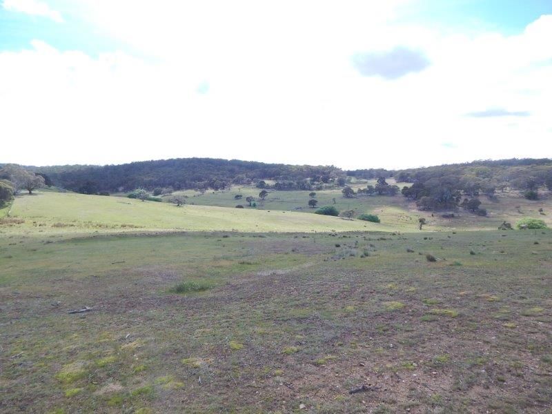 "Grandfathers Creek" Monaro Highway, Nimmitabel NSW 2631, Image 1