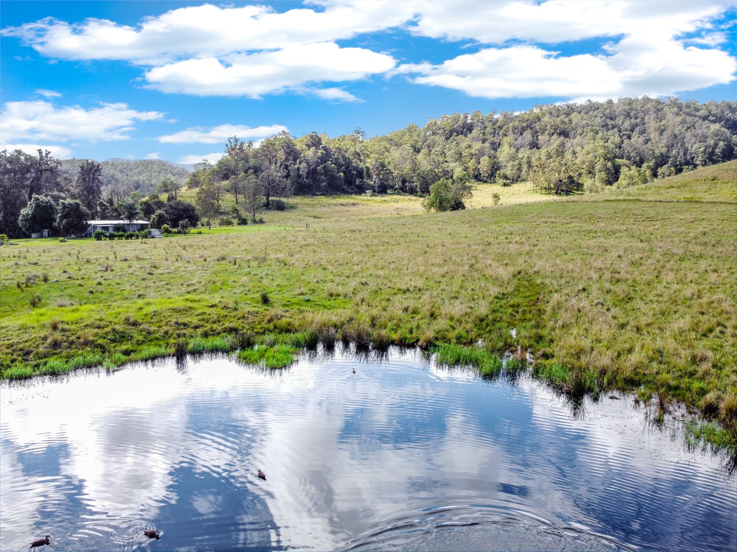 18 Gonpa Road, Collins Creek NSW 2474 House for Sale 1,100,000