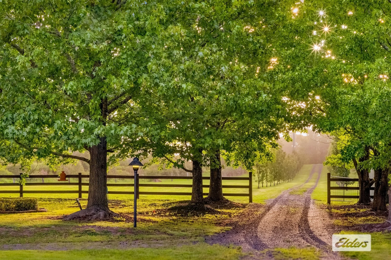 Additional image 15 of 380 George Downes Drive, Central Mangrove NSW 2250