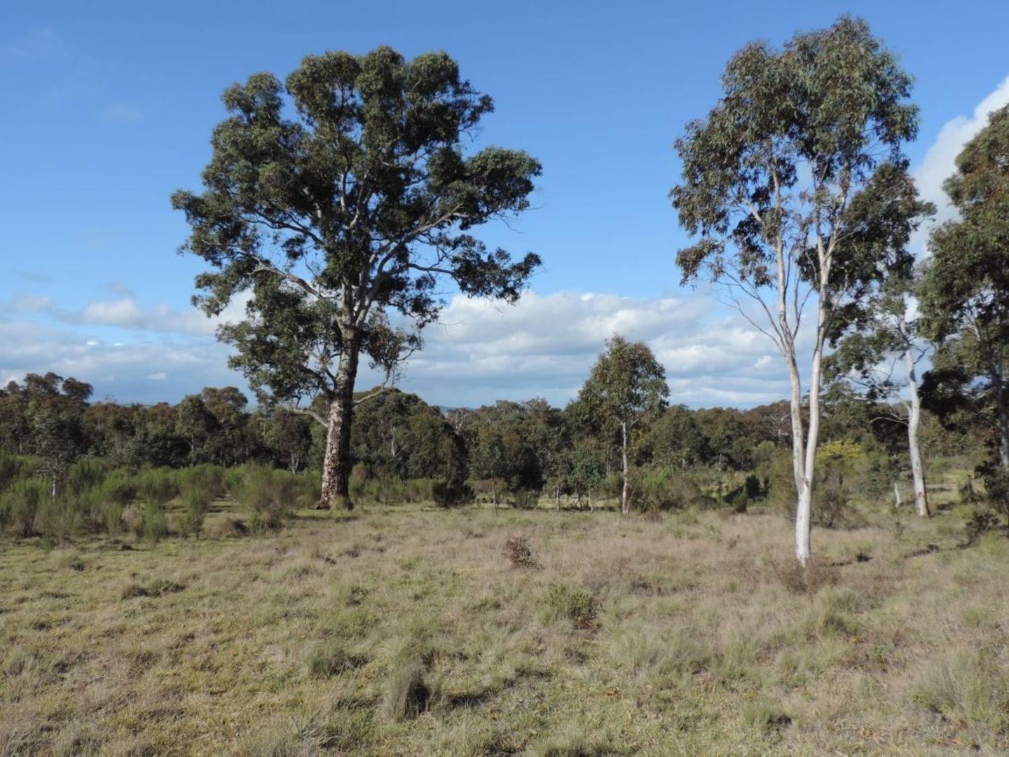 Lot 11 Range Road, Bannister NSW 2580, Image 2