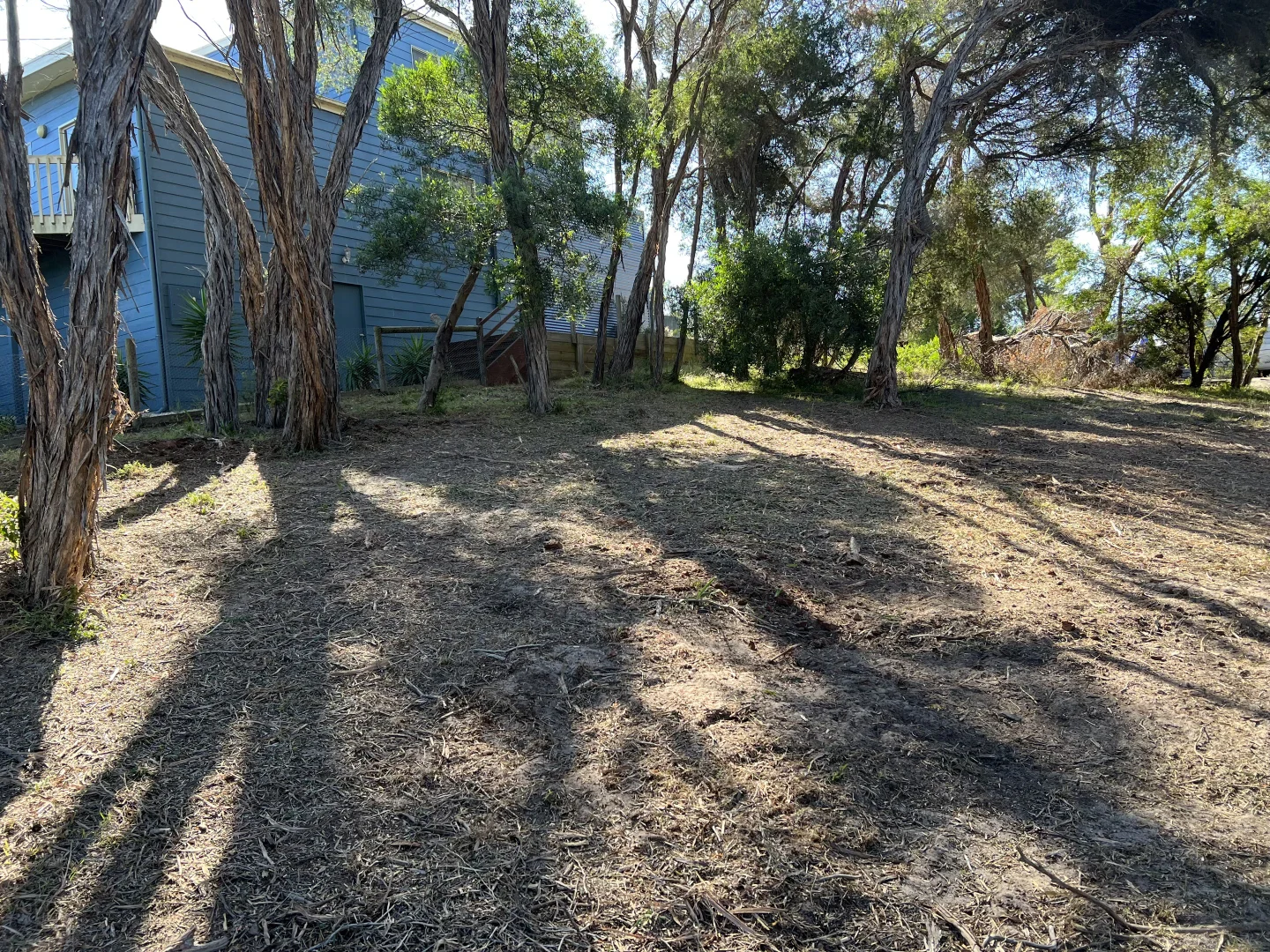 Image 6