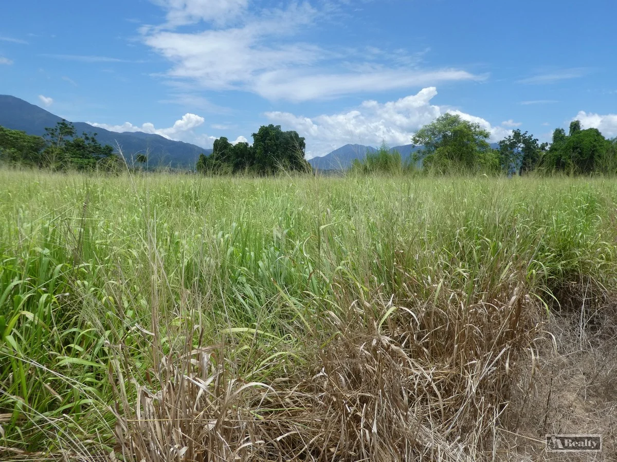 Additional image 10 of Eubenangee QLD 4860