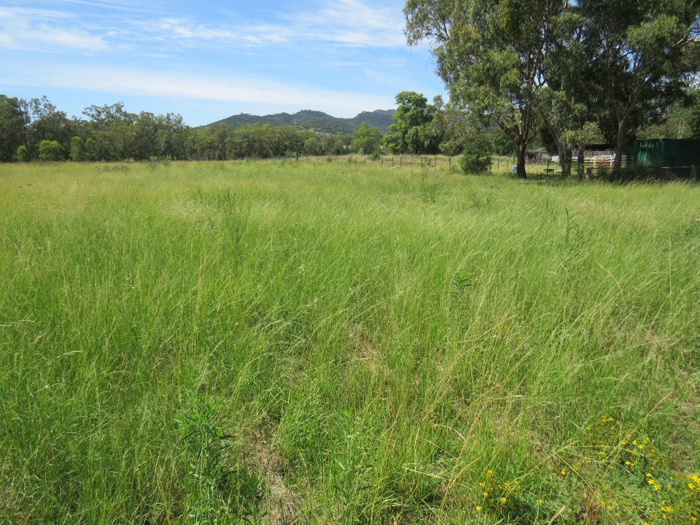 "Long Green" 12 Curra Stock Route Road, Currabubula NSW 2342, Image 2