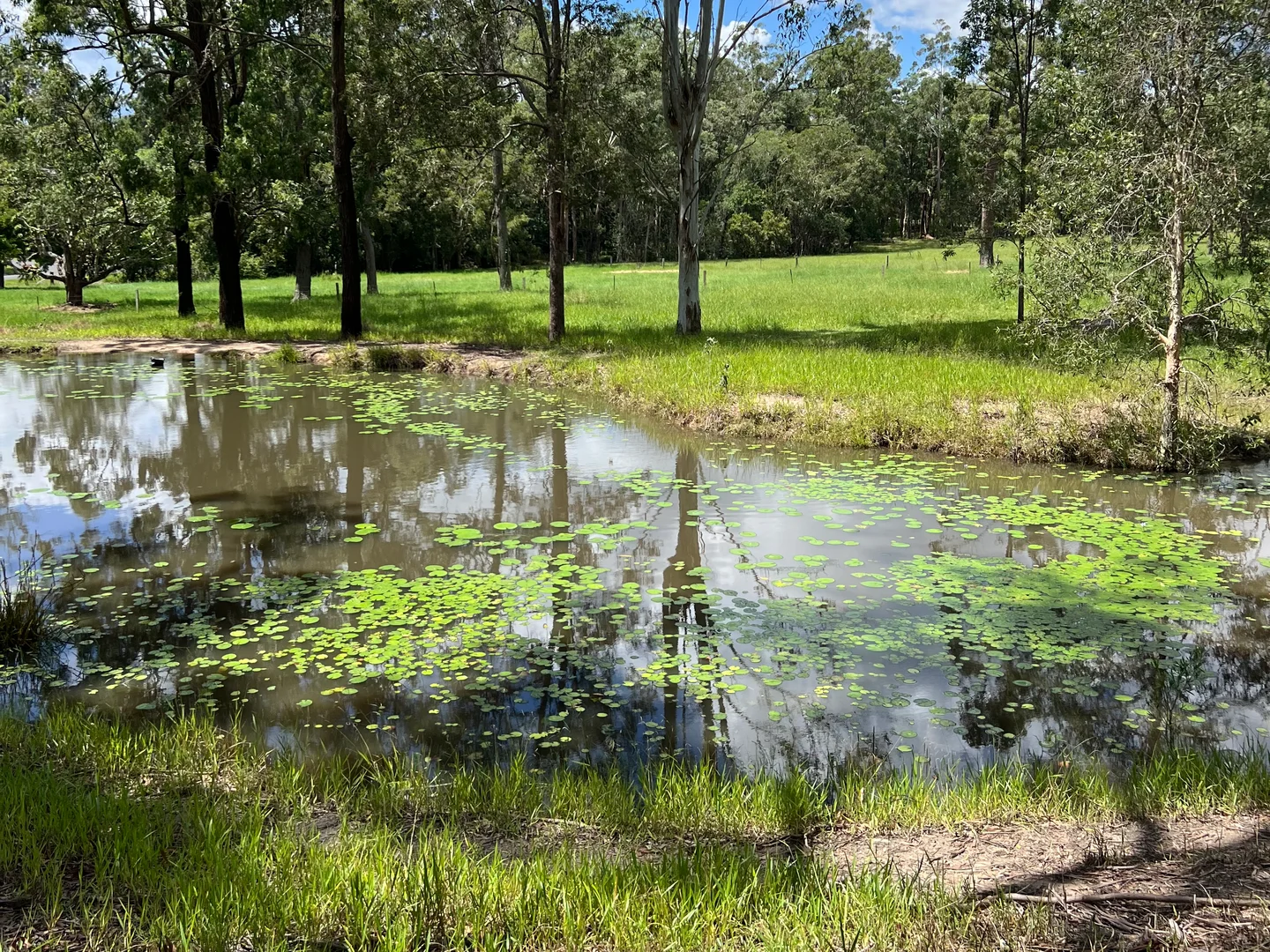 Additional image 12 of 72 Peterson Road, Woodford QLD 4514