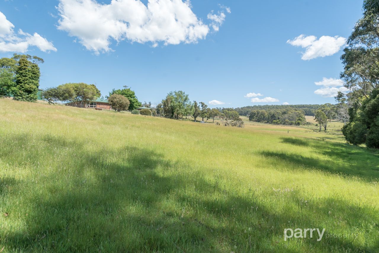 72 Hjorts Road, Loira TAS 7275, Image 2