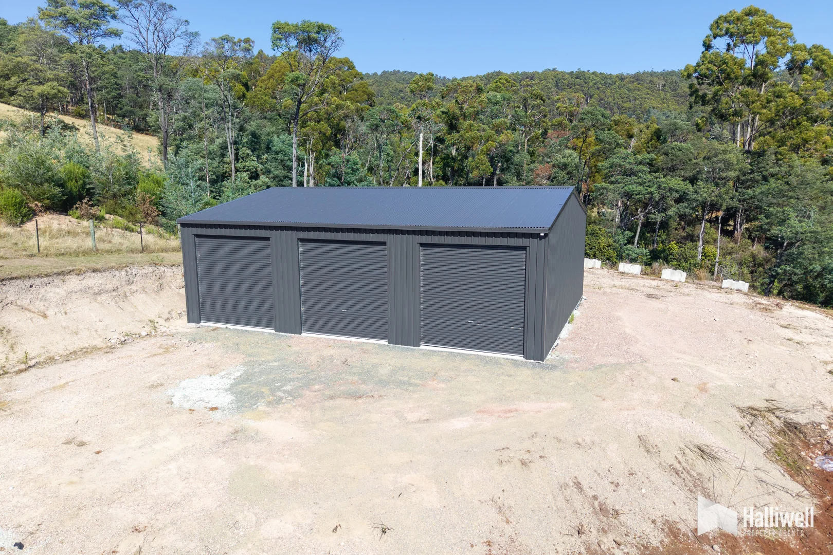Image 4