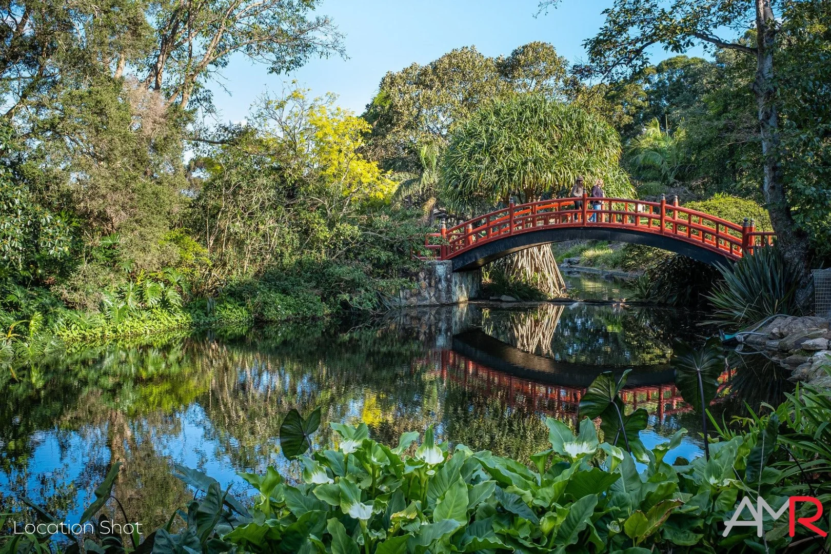 Additional image 7 of 14 Dallas Street, Keiraville NSW 2500