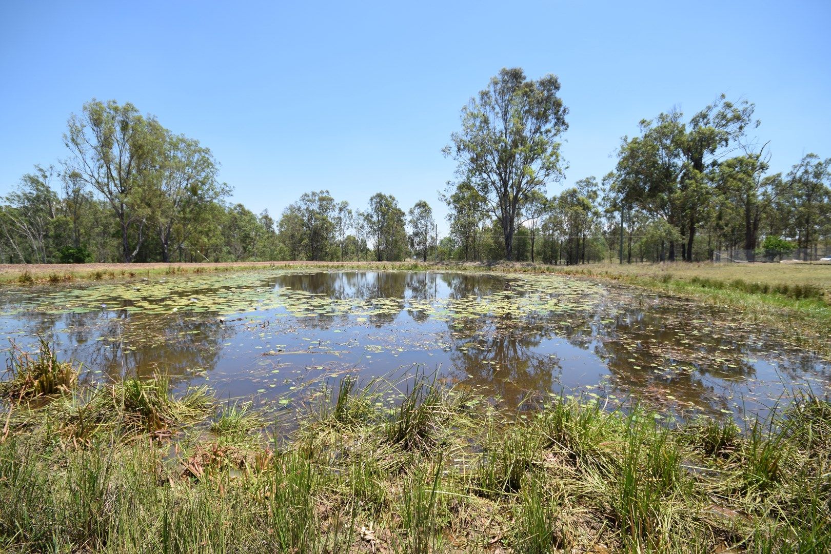 123 Wanora Road, Wanora QLD 4306, Image 1