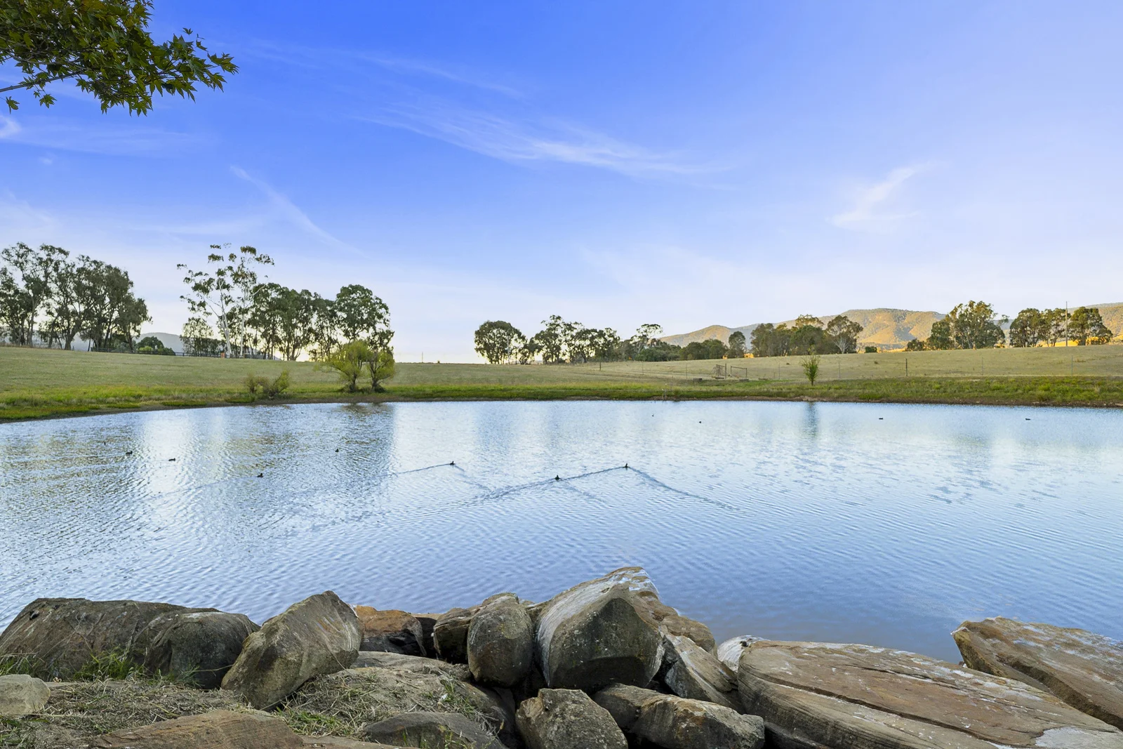 Additional image 16 of 31 Donkey Hill Road, Barjarg VIC 3723