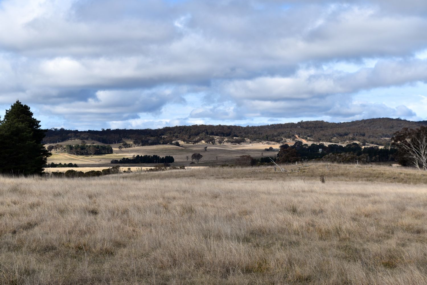 654 Boro Road, Boro NSW 2622, Image 0