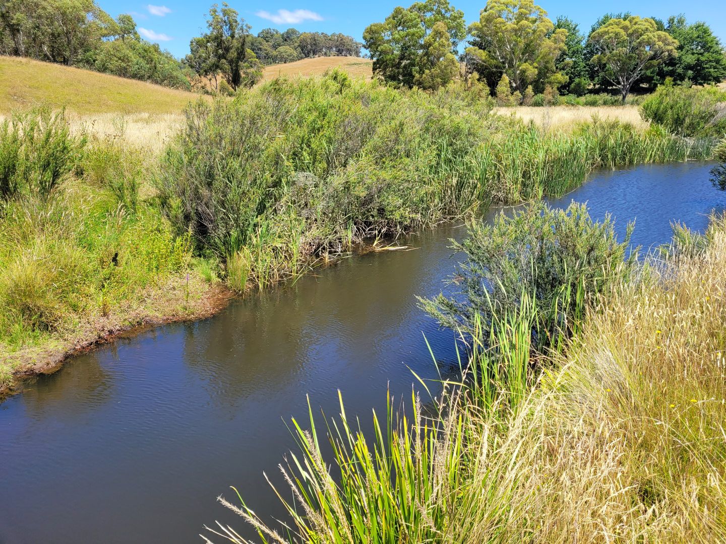 1132 Charleys Forest Road, Braidwood NSW 2622, Image 1