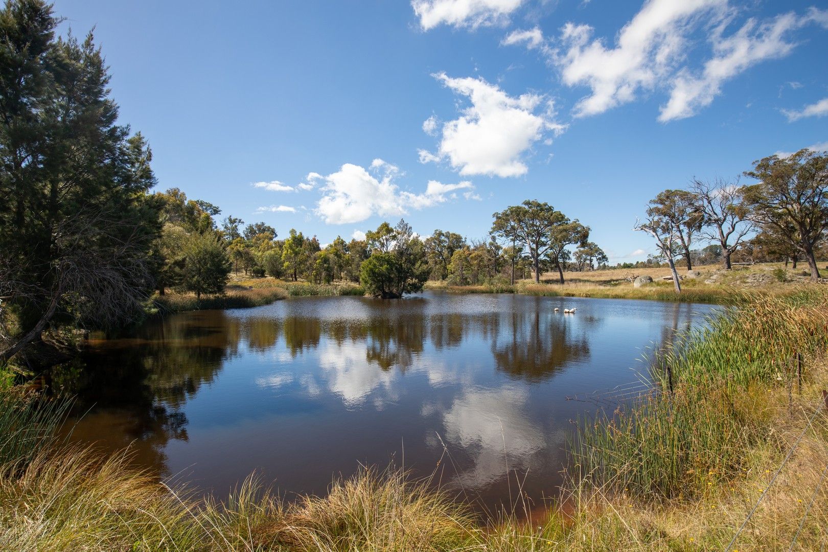 1971 Boorolong Road, Boorolong NSW 2350, Image 0