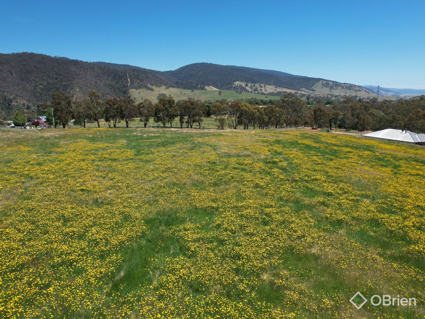 55 Sebastopol Hill, Omeo VIC 3898 Vacant Land for Sale 850,000