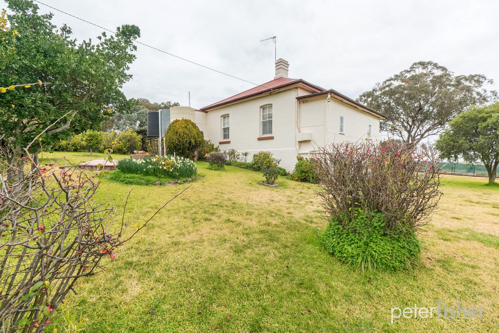 800 Amaroo Road, Orange NSW 2800, Image 1