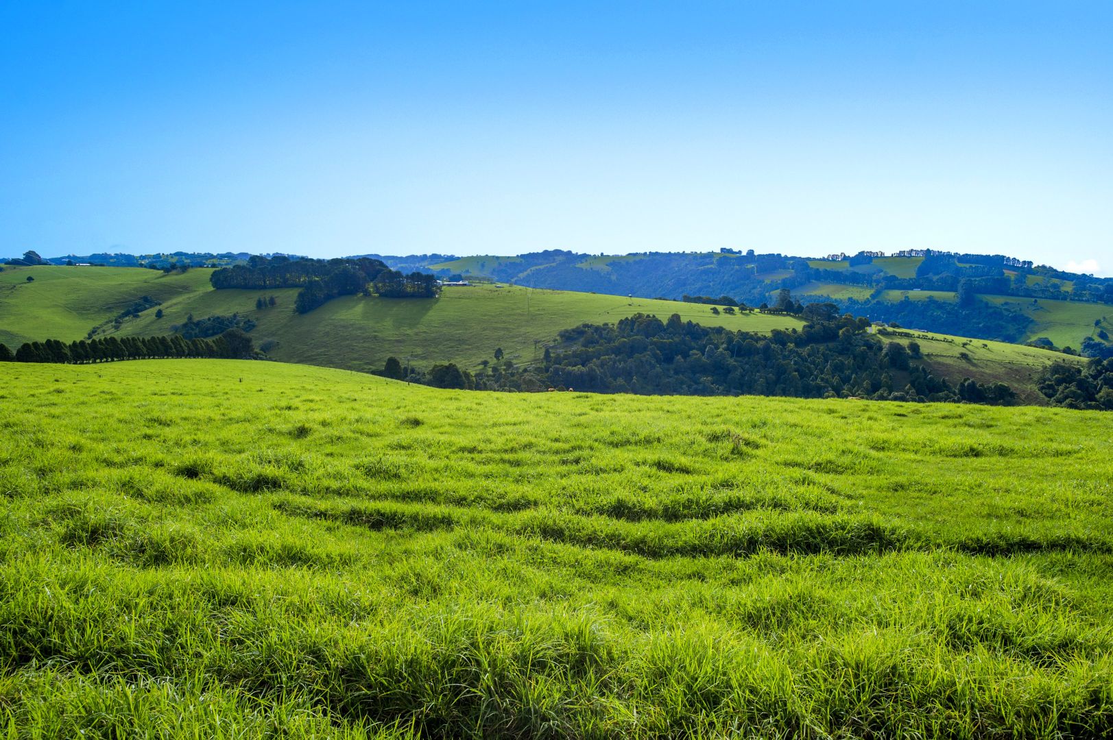 Waterfall Way, Dorrigo NSW 2453, Image 1