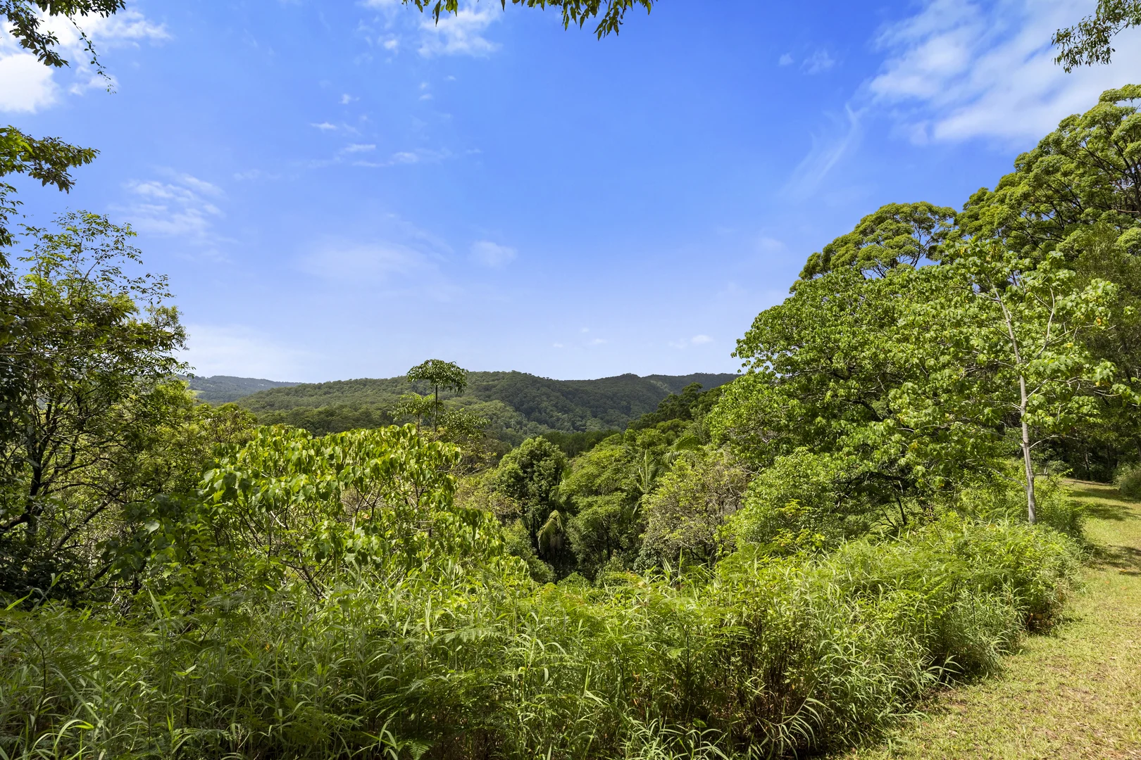 Additional image 8 of 1000 Urliup Road, Urliup NSW 2484