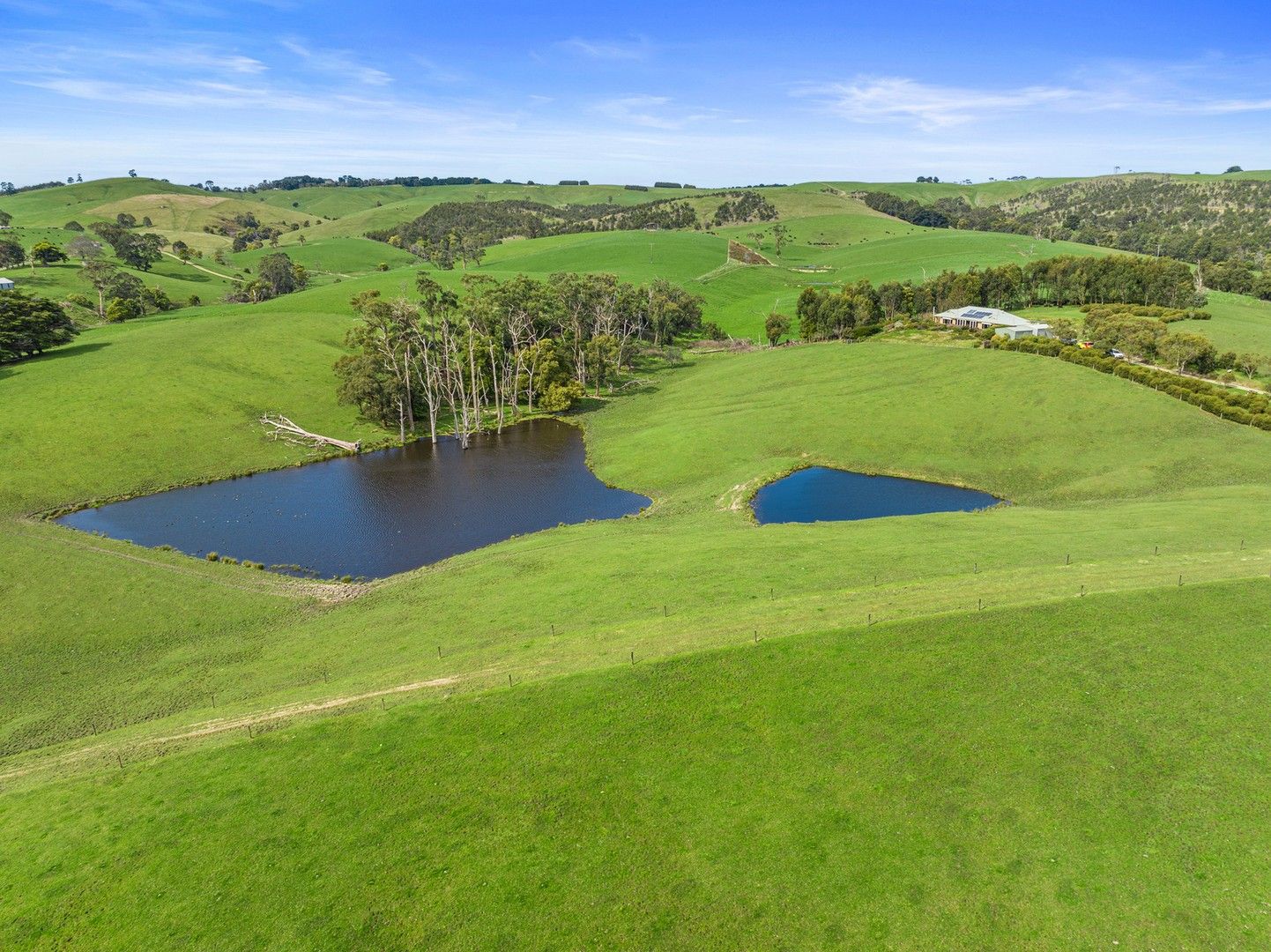 68 Maddisons Rd, Stony Creek VIC 3957, Image 2