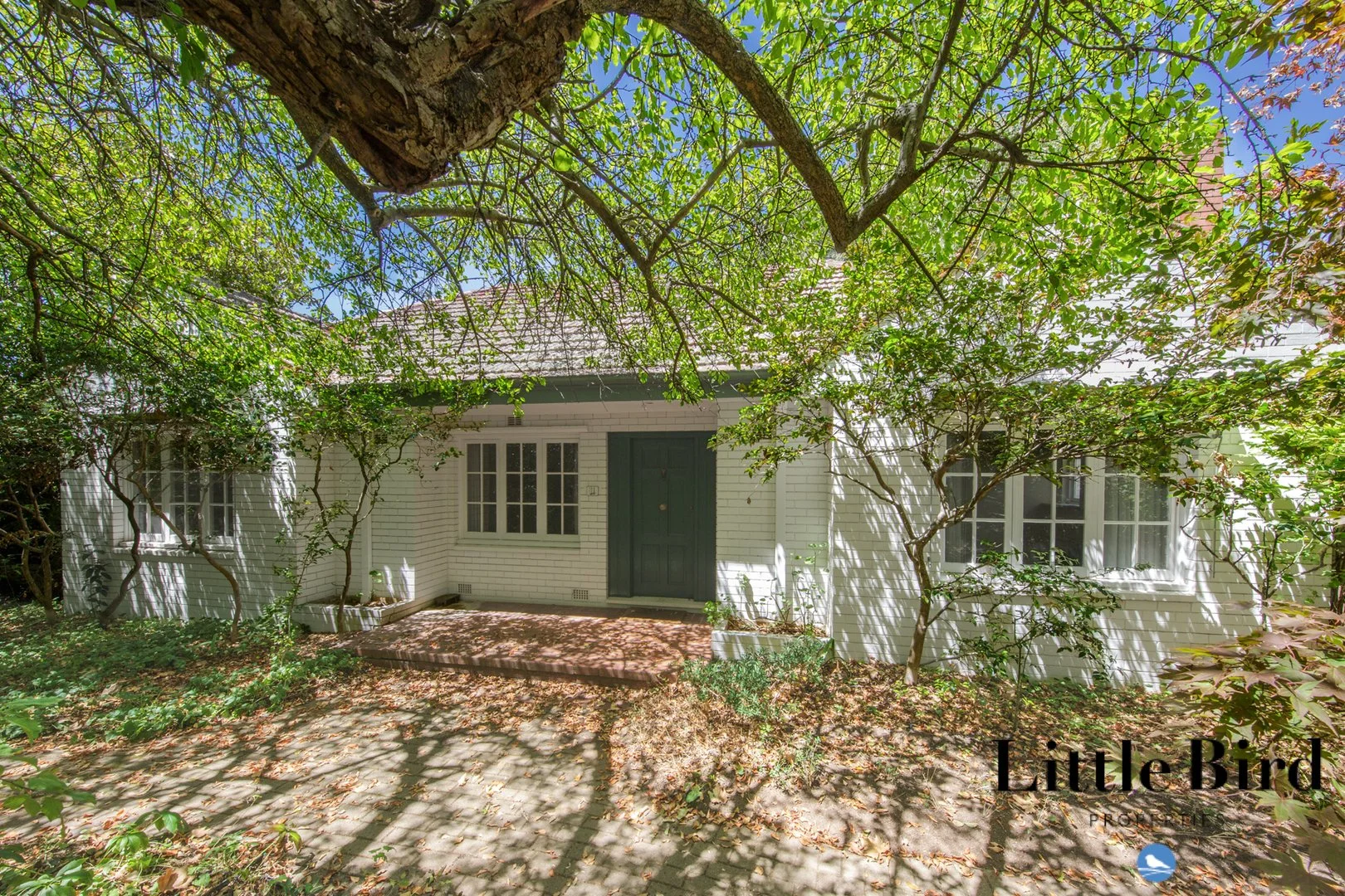 31 Arthur Circle, Griffith ACT 2603