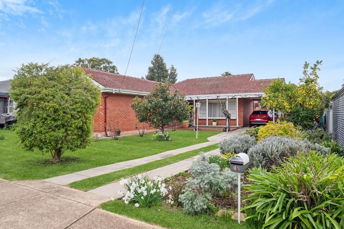 48 Fife Street, Klemzig SA 5087, Image 0