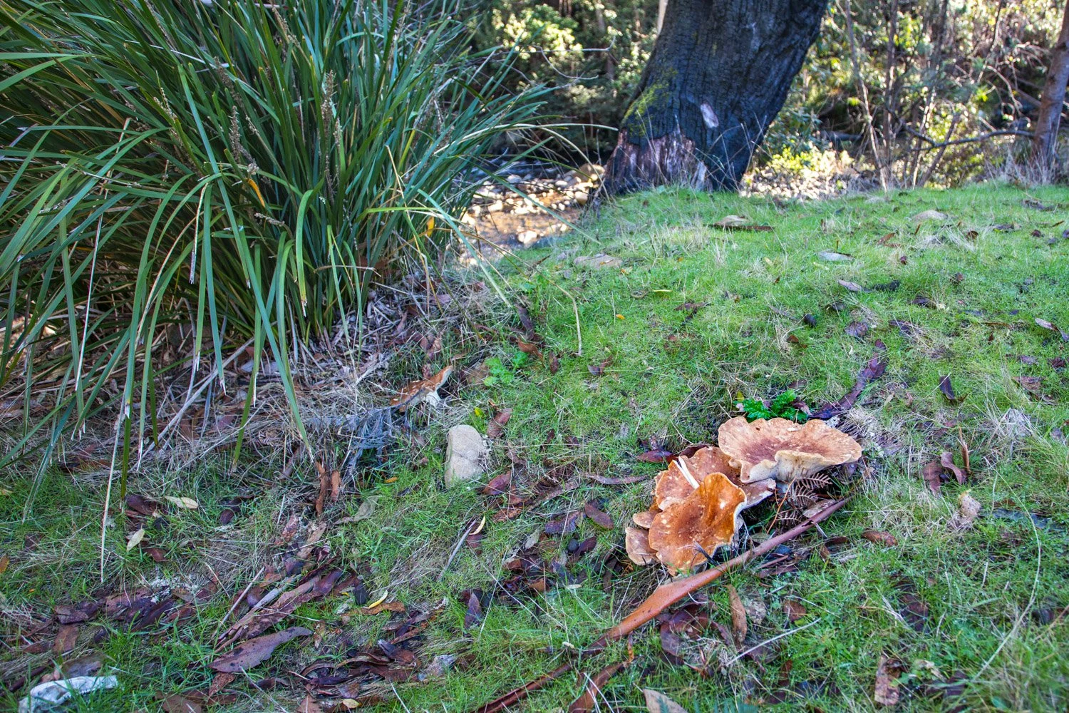 Image 13