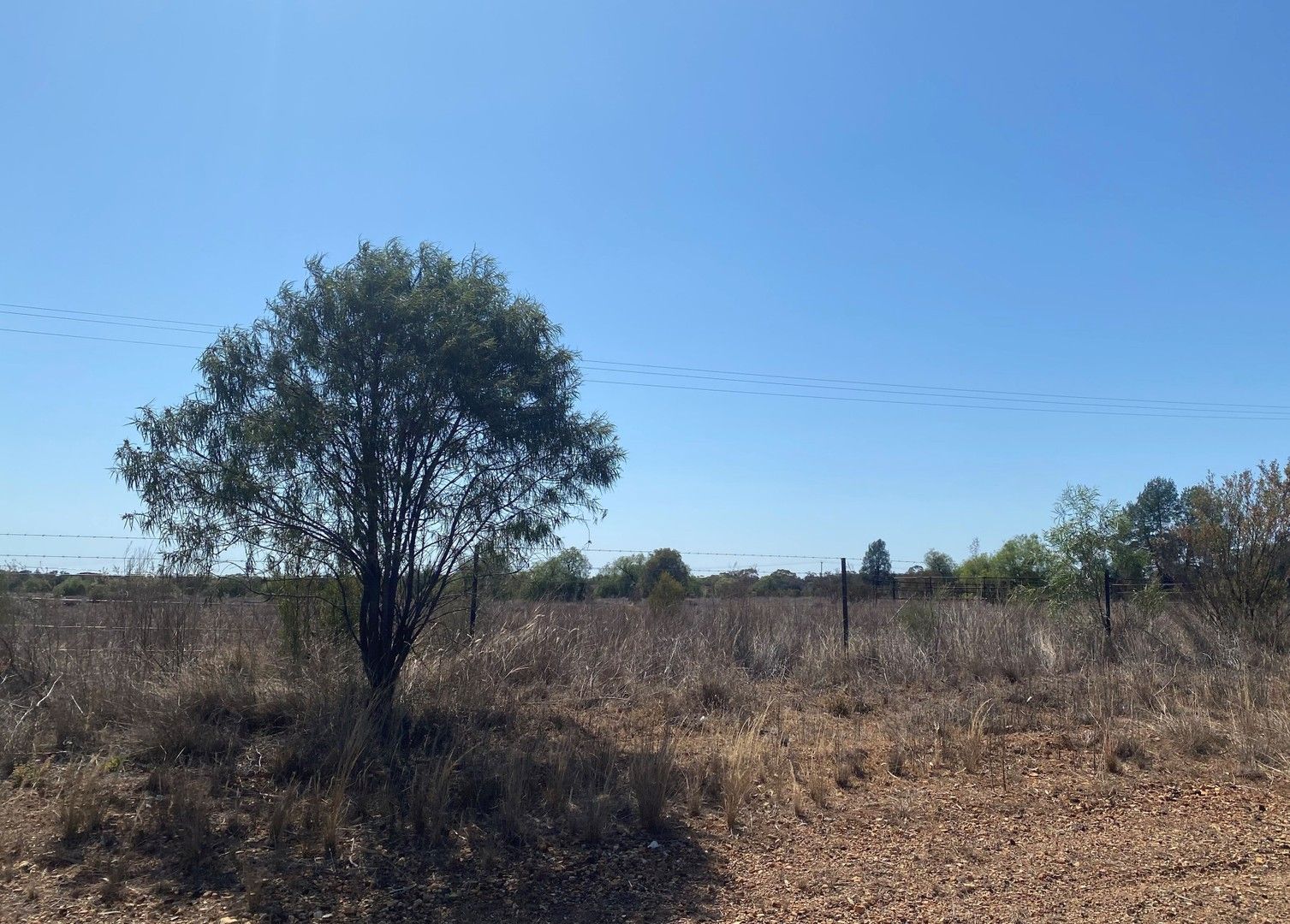 36320 Kidman Way, Cobar NSW 2835, Image 0