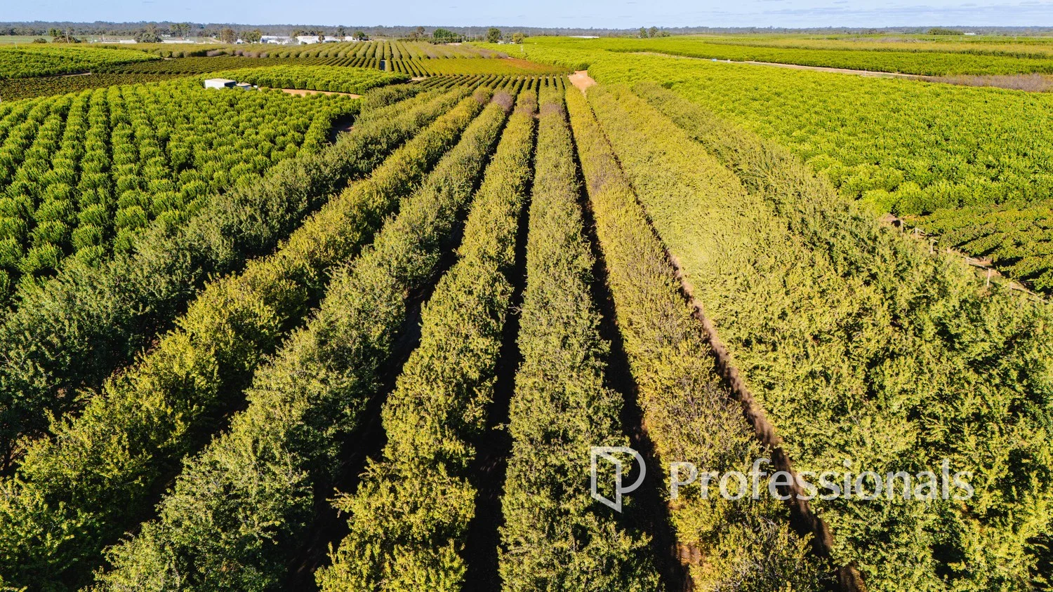 Additional image 8 of 2050 Kulkyne Way, Iraak VIC 3494