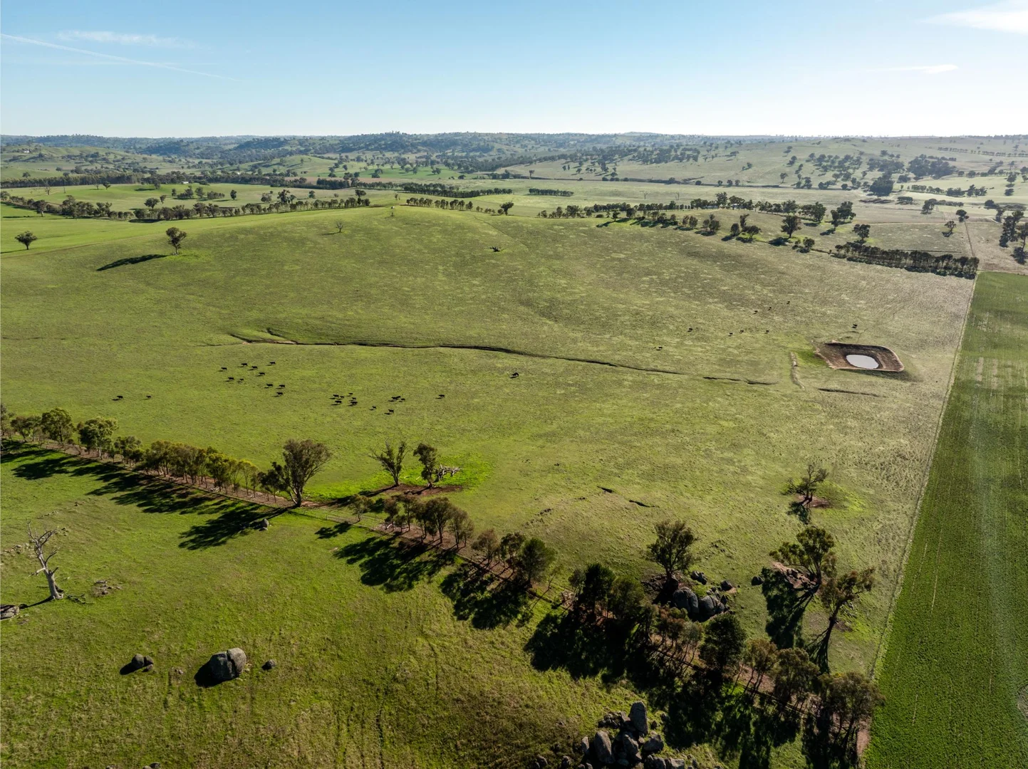Additional image 13 of 478 Illawong Road, Jugiong NSW 2726