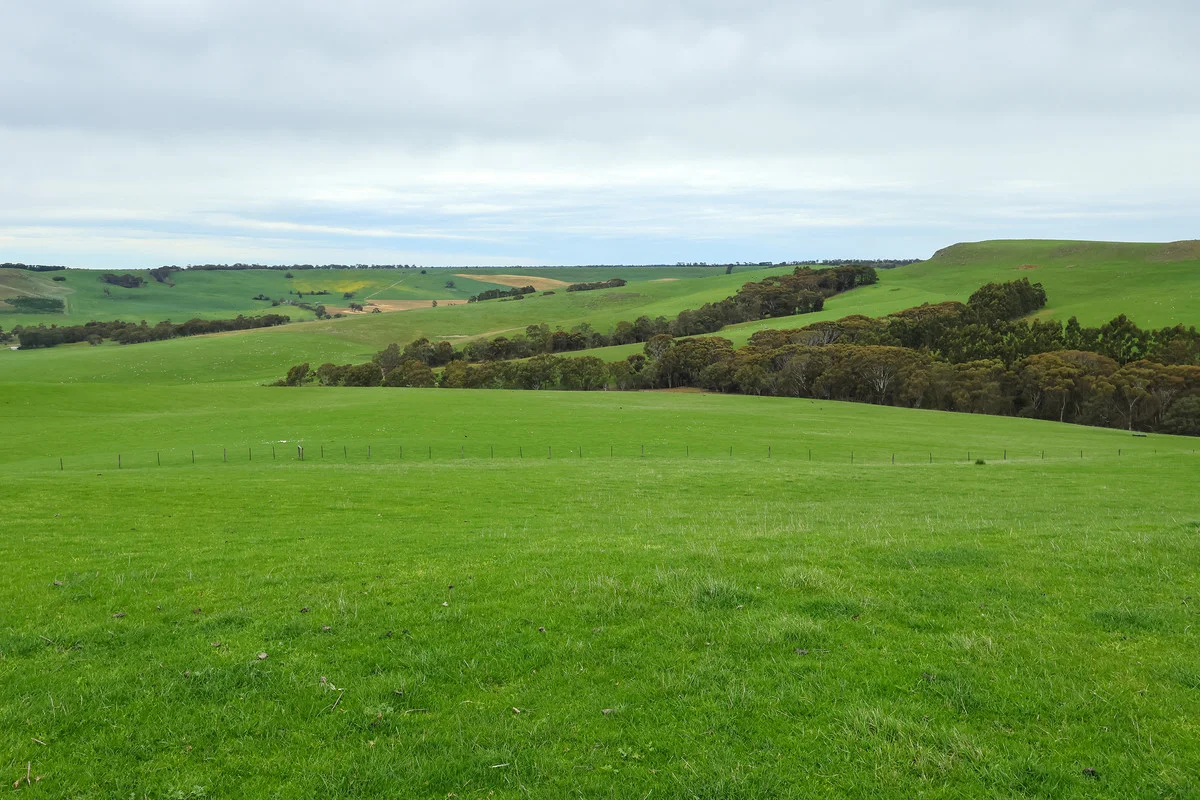 Image 23