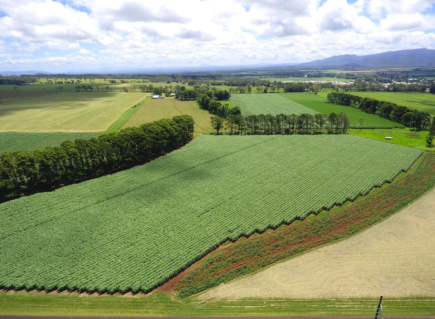 Tolga QLD 4882 Specialist Farm for Sale Domain