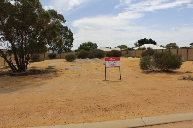 17 Carrington Way, Merredin WA 6415, Image 1