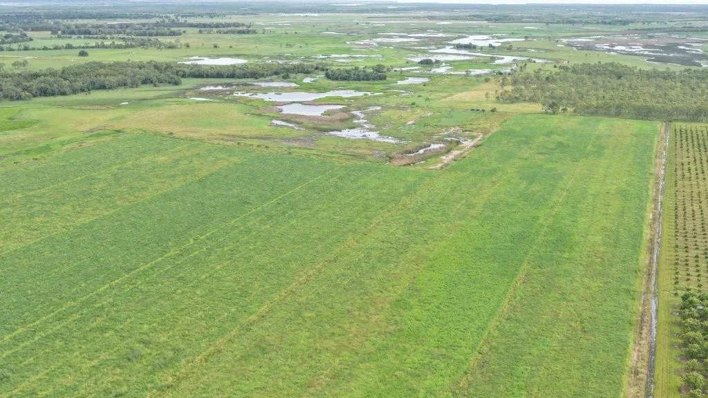 Additional image 17 of 3 Comiskey Road, Giru QLD 4809