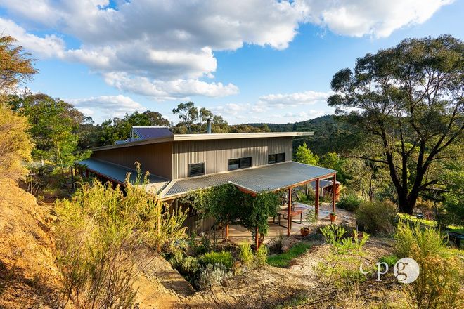Picture of 290 Golden Point Road, GOLDEN POINT VIC 3451