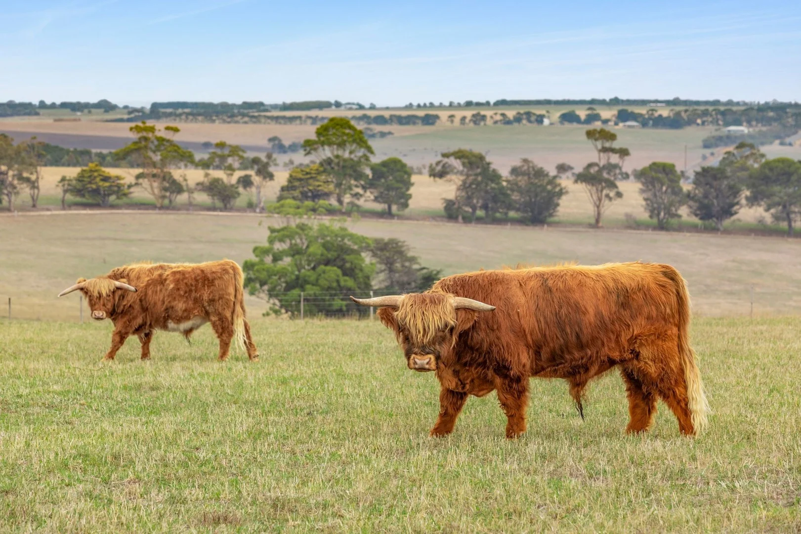 Additional image 16 of 80 Devon Road, Barrabool VIC 3221