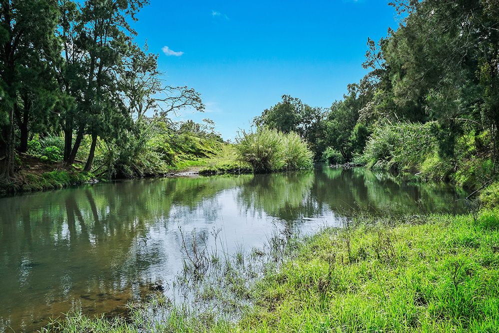 395 & 397 Paterson River Road, Gresford NSW 2311 House for Sale