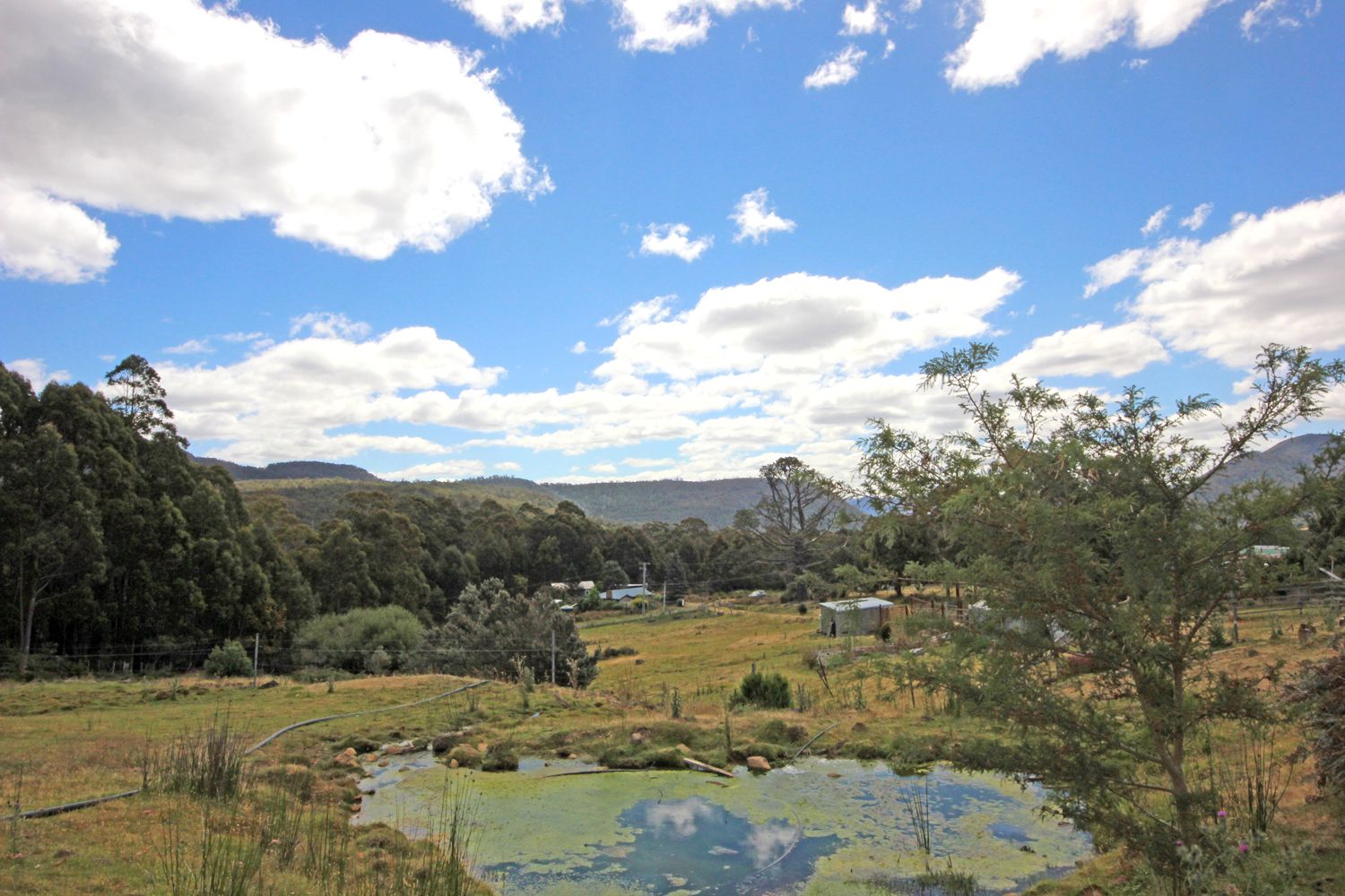 164 Mount Hull Road, Collinsvale TAS 7012, Image 2