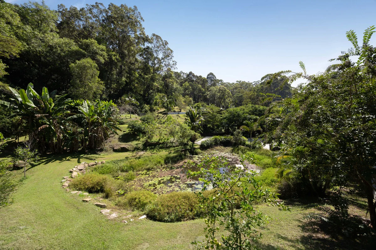 Image 23