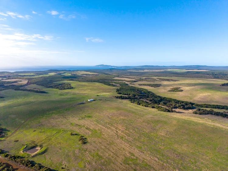 Image 17