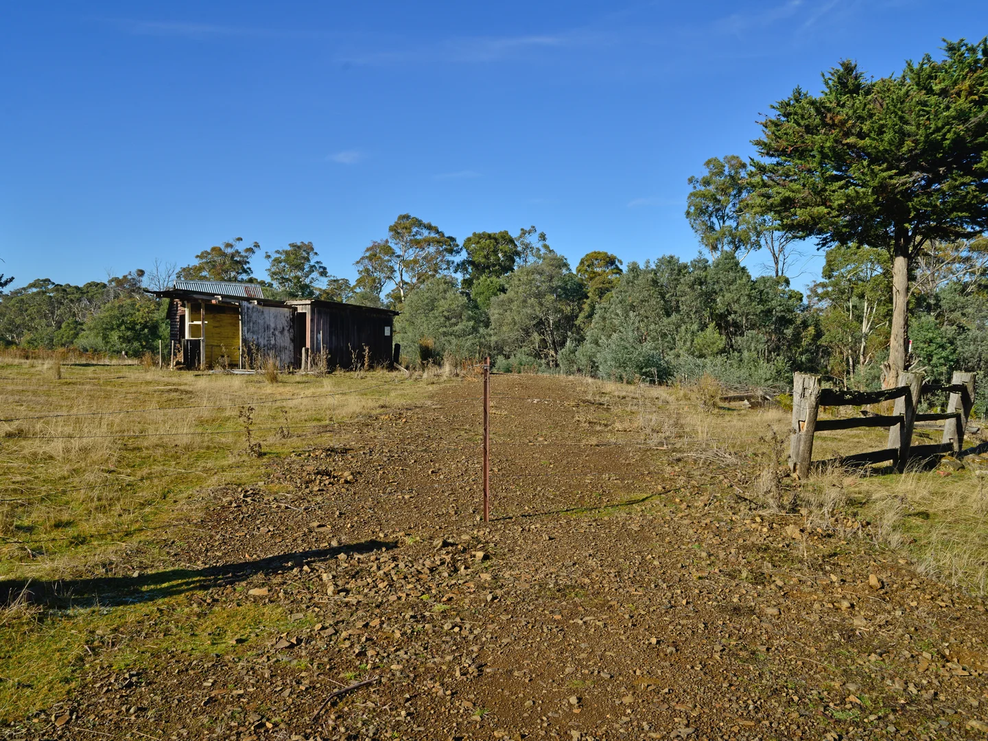 Image 14