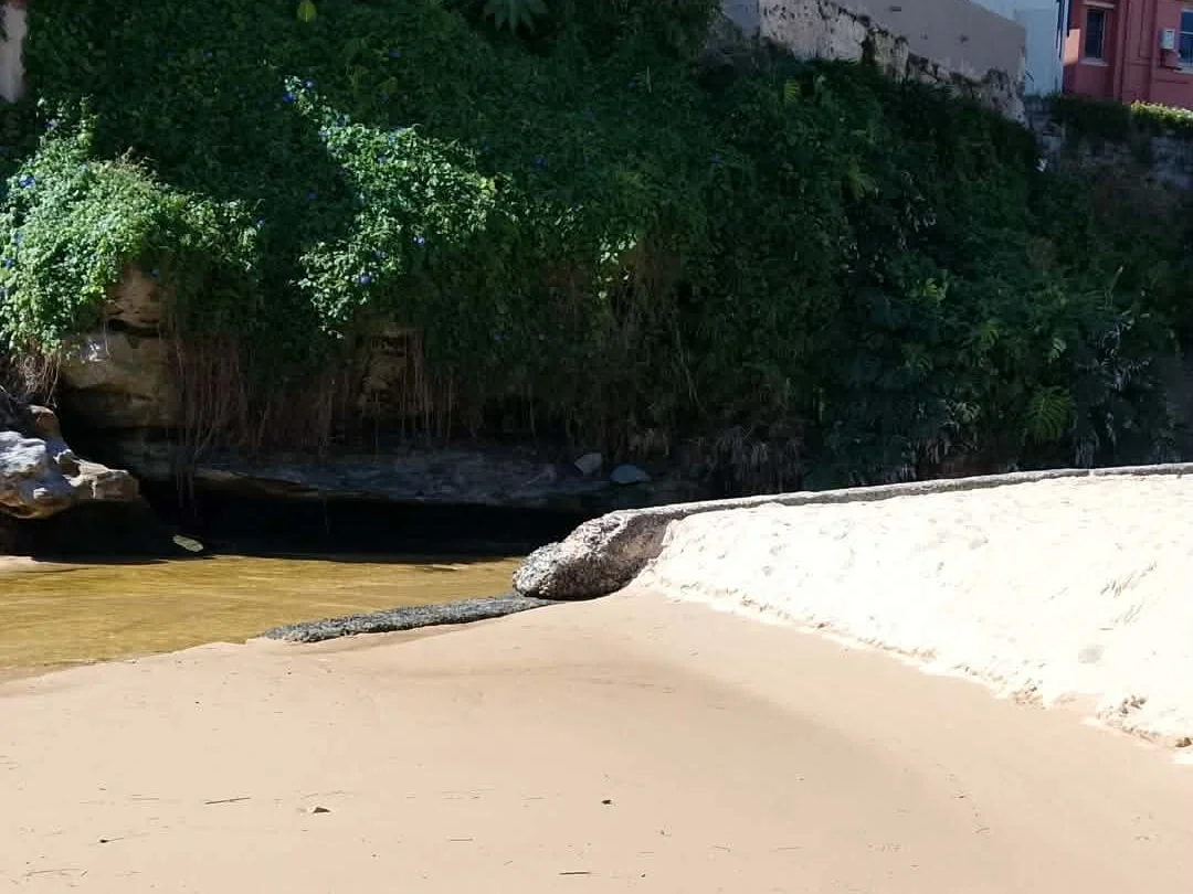 Additional image 19 of Queenscliff NSW 2096