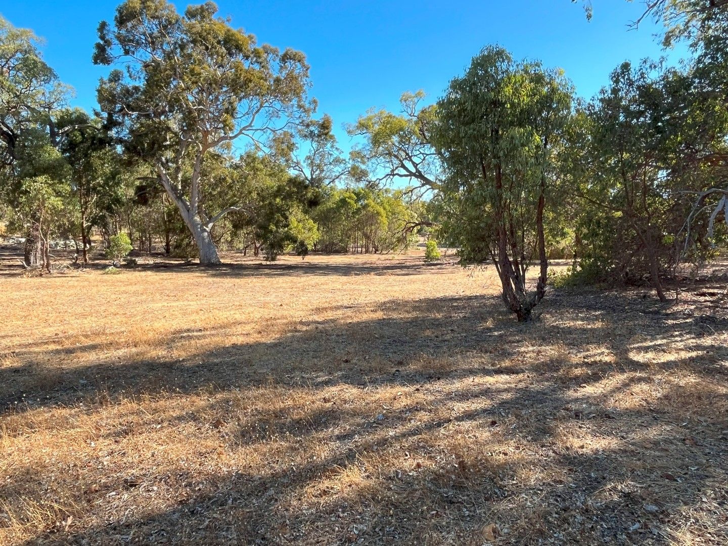 Lot 401 Leschenaultia Drive, Chittering WA 6084, Image 0