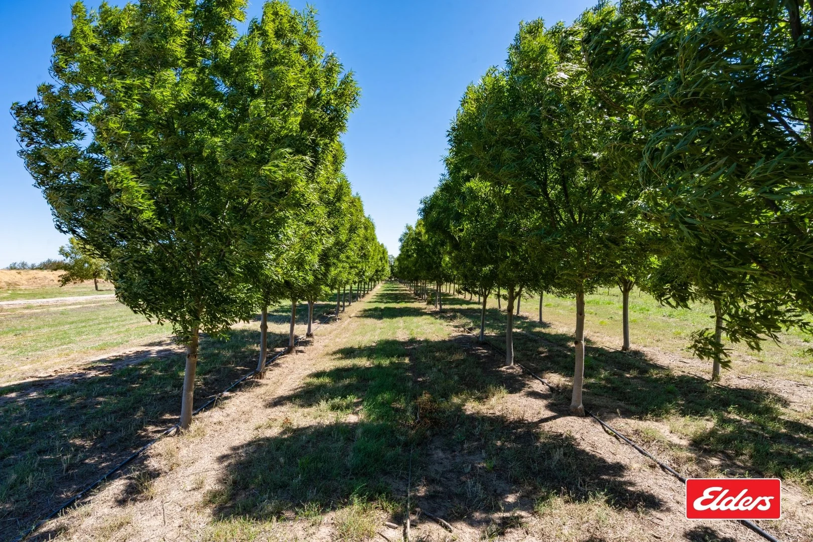 Additional image 5 of 124 Farley Road, Echuca VIC 3564