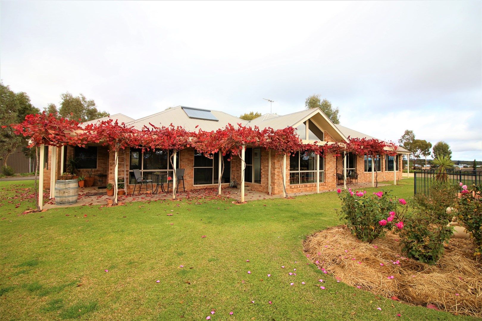 509 Boorga Road, Griffith NSW 2680, Image 0