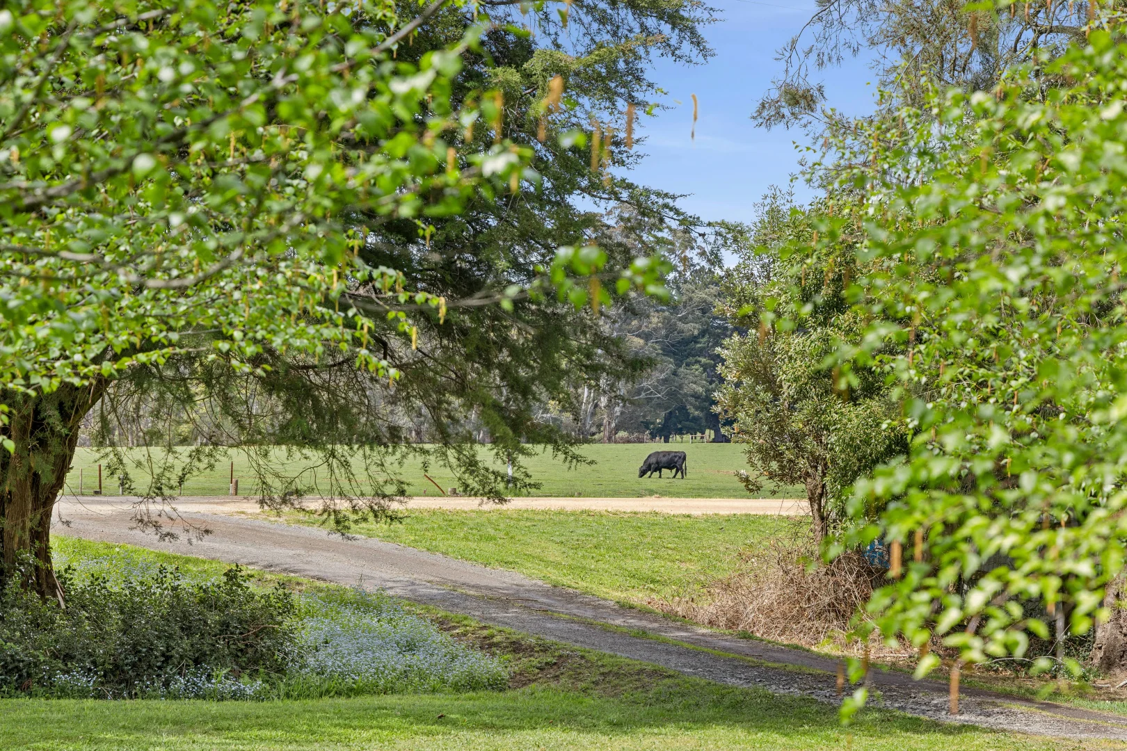 Additional image 18 of 45 Blue Mount Road, Trentham VIC 3458