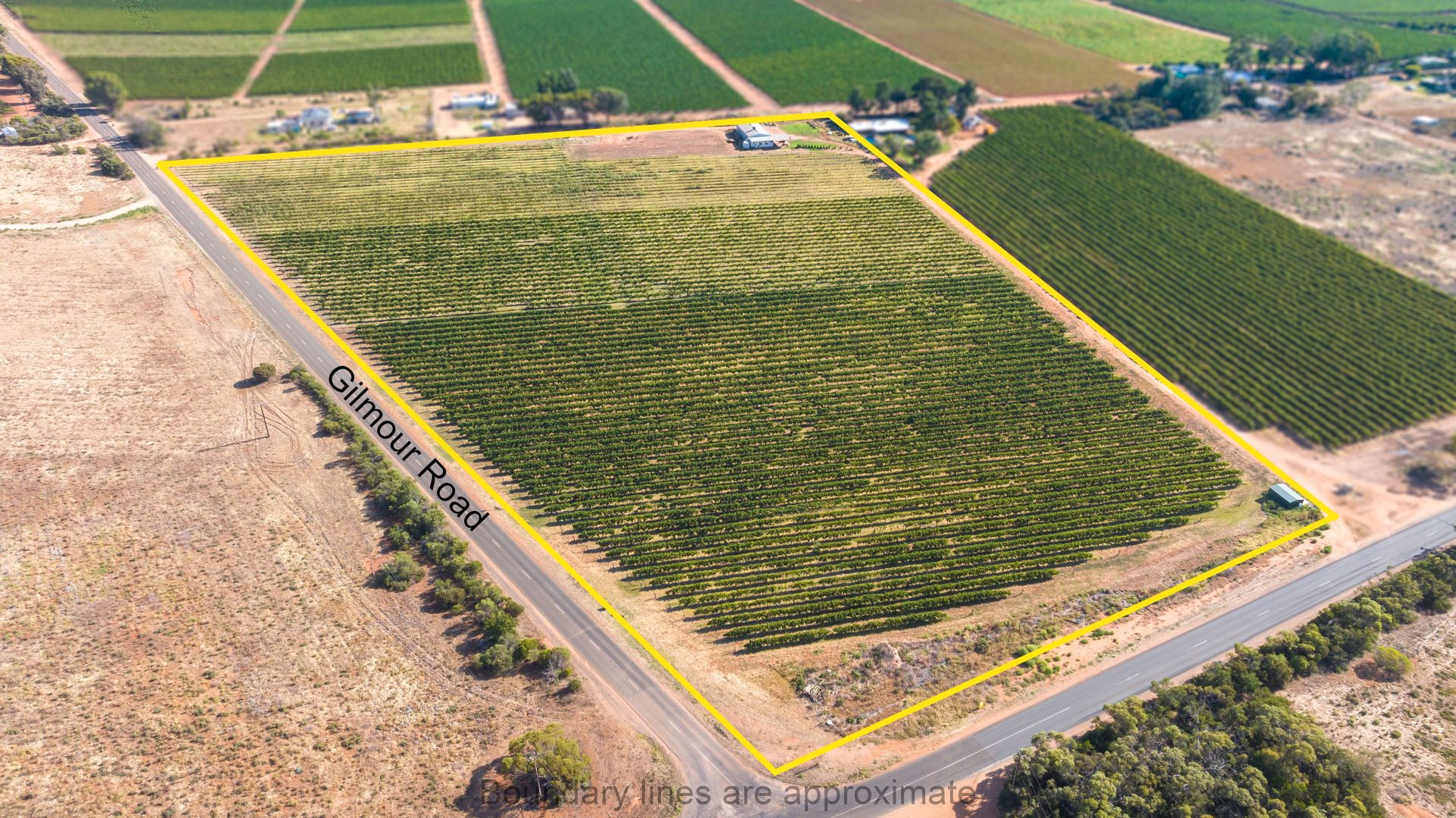 335 Gilmour Road, Loveday SA 5345, Image 2