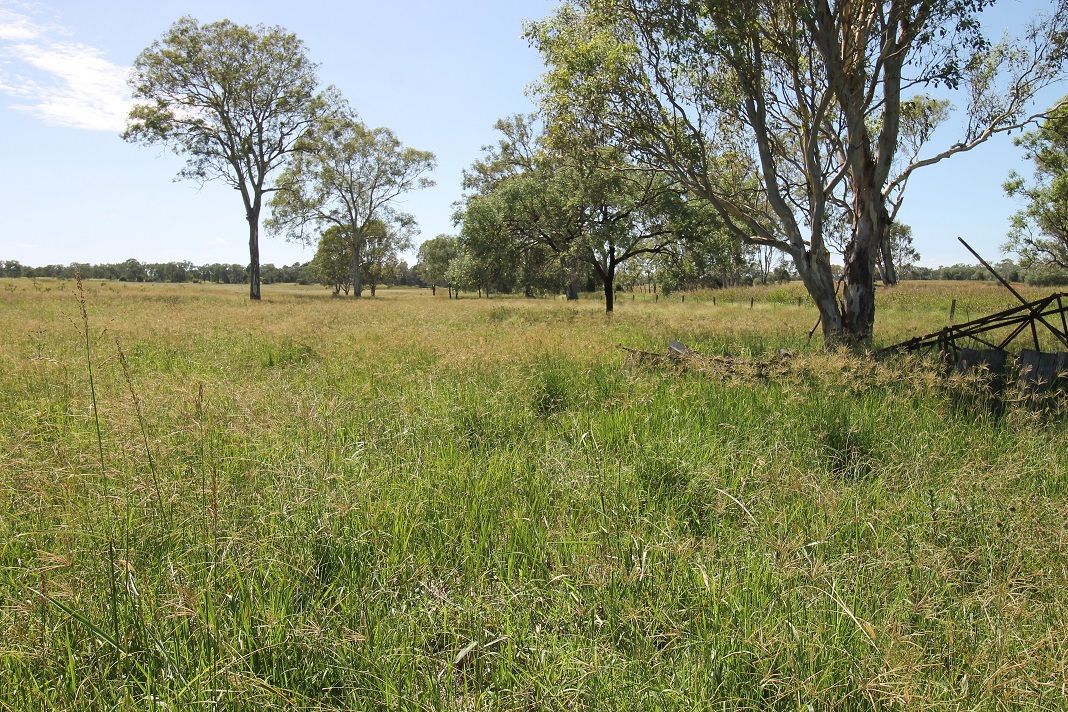 Lot 8 MP Creek Road, Cushnie QLD 4608, Image 1